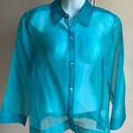Sigrid Olsen  Sheer Silk button down over blouse. M NWT Y2K Photo 0