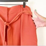 Free Press Paperbag Tie Waist Shorts Photo 2