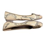 Tory Burch Louisa Python Brown Beige Black Snake Print Logo Ballet Flat Size 6.5 Photo 2