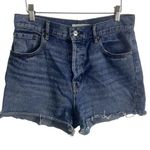 PacSun  shorts high rise icon denim blue jean cotton shorts Sz 29 Photo 0