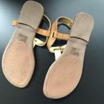 Rampage  Women's Brown and Gold Flat Buckle Sandals Size 7 Photo 3