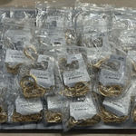 BaubleBar Sugarfix by Herringbone and Chain Link Necklace Duos Lot of 32 Photo 0