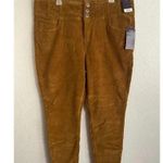 No Boundaries 🆕NOHO Plus-Size Corduroy Corset Skinny Jeans 21🆕 Photo 2