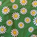 Aerie  Swimsuit One Piece Cheekiest Smiley Floral NWT Size Small Photo 4