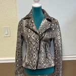 Liverpool Los Angeles Snakeskin Photo 13