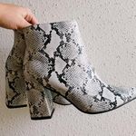 Princess Polly Animal Print Booties Photo 0