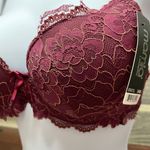 Mamia NWT Wine Colored Lace Padded Bra With Cream Stitching Detail Size 34B Photo 1