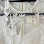 Anthropologie Flat White Sheer Embroidered Mini Dress, Size XS Photo 9