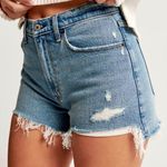 Abercrombie & Fitch Curve Love Mom Short High Rise Photo 0