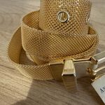 Ann Taylor 90s Vintage  Gold‎ Mesh Adjustable Belt Size L Large 39” NWT Photo 1