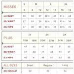 ASHRO Jacket Womens 10 Rust Gold Flax Embroidered Duster Boho Bohemian L… Red Photo 8