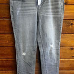 Ann Taylor  Loft Modern Skinny  Jeans Sz 10 Photo 0