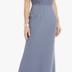 Adrianna Papell  Lace Illusion Gown Women's 2 Dusty Blue Sleeveless V-Neck NWT Photo 0