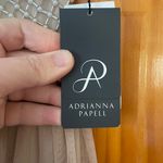 Adrianna Papell Anthropologie Champagne Bryce Beaded Gown Dress Sz 2 NWT Photo 5