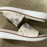 Cole Haan ZEROGRAND Shoes Photo 2