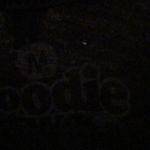 Goodie Two Sleeves  Snapcat kitty snap CAT tee T-shirt T shirt women's size M Photo 6