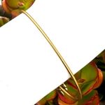 ALEX AND ANI 2017 Four Leaf Clover Bangle Bracelet Photo 7