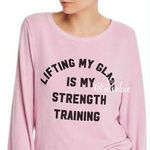 Wildfox New.  pink beach jumper. XS. Retails $98 Photo 1