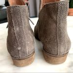Lucky Brand Brenon Suede Booties Photo 5