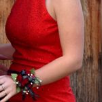 Sherri Hill Homecoming Cocktail Short Dress Photo 0