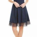 Donna Ricco New York Navy Scuba Mesh Trim Dress Size 16 Photo 0