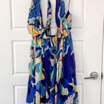 Anthropologie NEW  Alexandra Farmer Printed Maxi Dress Photo 3