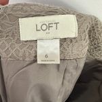 Loft  Pencil Skirt Womens 6 Taupe Jacquard Textured Quiet Luxury Old Money Career Photo 1