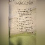 Dolce & Gabbana Vintage Y2K  Light Lime Green Tank Top  Made In Italy 46 US 10 Photo 7