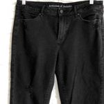 Articles of Society  Stephanie Step raw hem Hassen Women’s Size 32‎ Photo 1