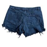 Wild Fable Black Buttonfly Distressed Denim Jean Highest Rise Short Women’s 12 Photo 1