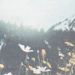 Jil Sander + Woman Tank Top in Sky Blue cotton with a mountain print L Photo 2