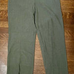 Metro Style NWT Green Gray Dress Pants Work Pants size 10 T Photo 0