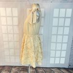 Anthropologie A’Reve vintage ivory blush 3D floral textured dress size large Photo 4