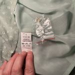 Women’s Green Casual Light Green Baby Doll Sheer Long Sleeve Dress Sz. L Size L Photo 6