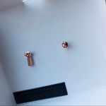 Coach Rose Gold Heart Studs NWT Photo 3
