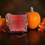 Brahmin Women's  Crossbody Bag‎ One Size Red Photo 0
