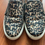 Steve Madden  Symba Leopard Slip on Size  9 Photo 3