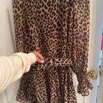 ZARA Cheetah Print Dress Photo 0