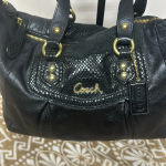 Coach  Ashley Black Leather Python Snakeskin Satchel Shoulder Tote F19247 Purse Photo 1