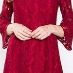 Sugar Lips  Wine Floral Lace Dress Small Photo 0