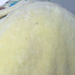 Yellow Embroidered Floral Jacket Size XS Photo 5