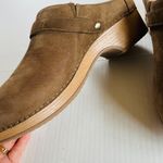 Dansko  Sz 9 Berry Nubuck Tan Leather Suede Buckle Hardware Strap Clogs Slip On Photo 3