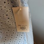 Candie's  NWT‎ dress. Size XL Photo 4