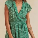 Trovata Birds of Paradis NWT Green Marcella Lawn Dot Dress Size Large Photo 0
