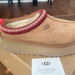 UGG Tasman Slippers Photo 0