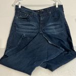 Source of Wisdom Ladies Jeans Blue Size 18 Photo 0