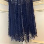 Loyd / Ford Palm Springs two layer mesh and silk skirt Blue Size 4 Photo 11
