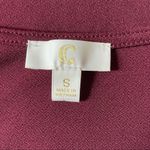 Charming Charlie Burgundy Draped V Neck Mini Dress Small Photo 3