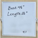 Hailey & Co. Blue & White Spotted Short Sleeve Blouse Top Size M Ruffle Trim Photo 9