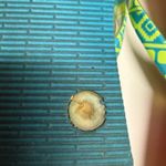 Vera Bradley Serape Paradise Flip Flops Tribal Native Print Teal Yellow Red 7 8 Photo 3